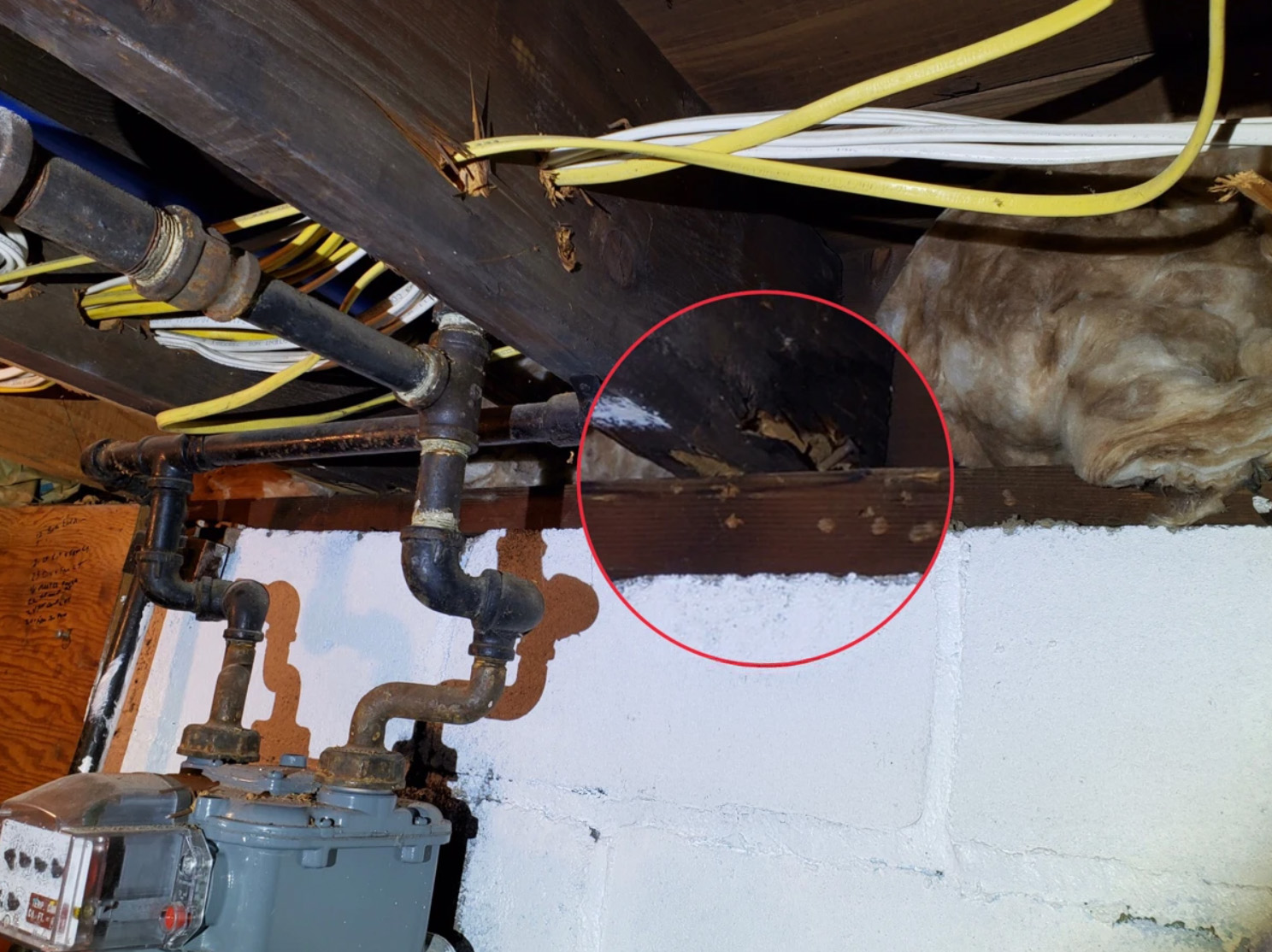 Structural Integrity Assessment